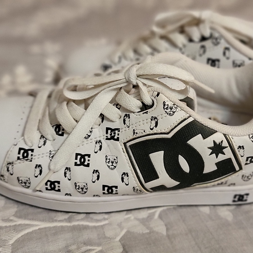 Rob Dyrdek Meaty and Mini Horse DC Monochrome Logo Sneakers. Vintage Gently Worn